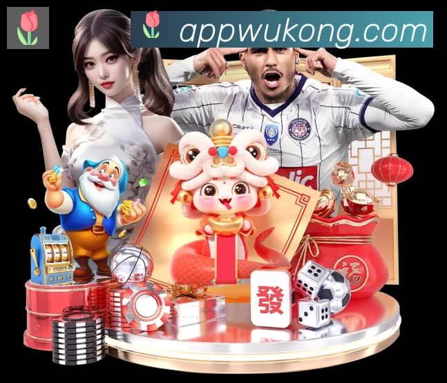 登录器
